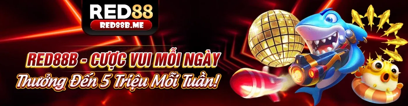 Hình ảnh đại diện Kingfun, đội ngũ chuyên nghiệp, tầm nhìn